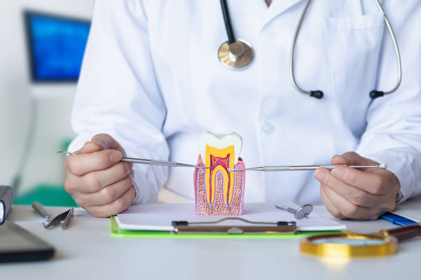 Best Mobile Emergency Dentist in Compton, CA